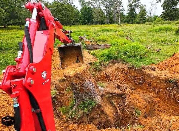 savage stump removal and grinding