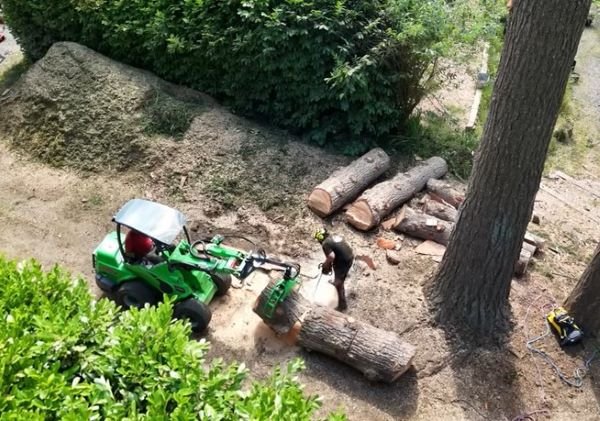 savage tree service