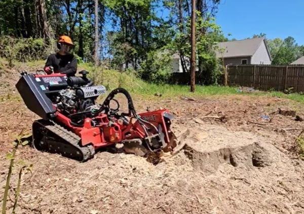 stump grinding in Savage mn