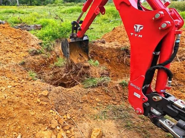 stump removal near me in savage mn