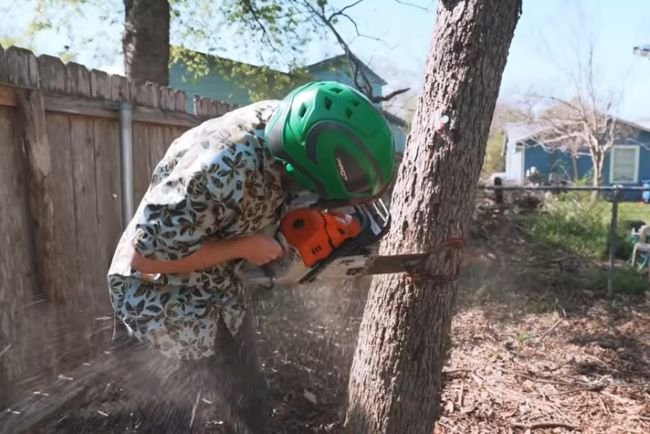 tree service near me