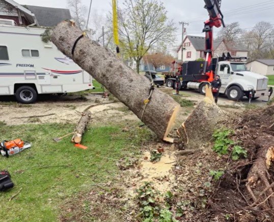Chanhassen tree service near me