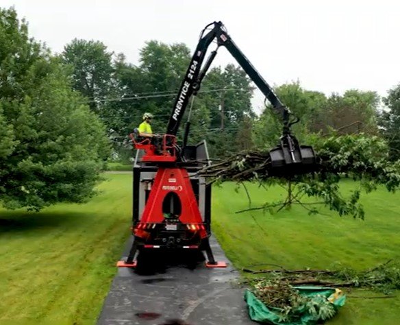 emergency tree removal savage mn