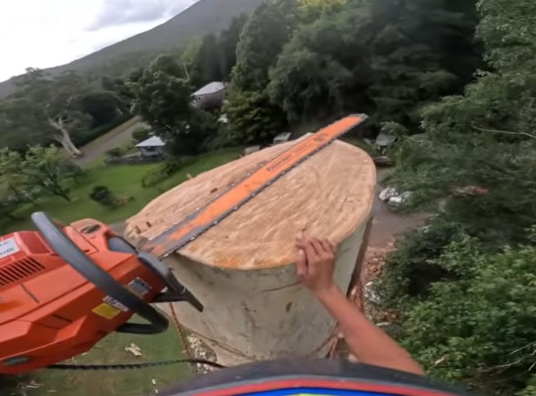 tree removal shakopee mn tree removal shakopee mn