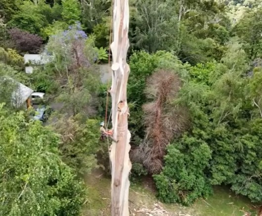 tree service shakopee mn tree service shakopee mn